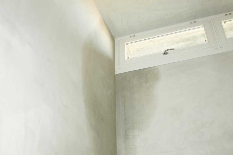 Umidade dentro de casa? Descubra como eliminar de vez esse problema Umidade dentro de casa? Descubra como eliminar de vez esse problema