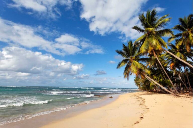 Hotel em Porto de Galinhas: Guia Completo para Escolher a Melhor Hospedagem