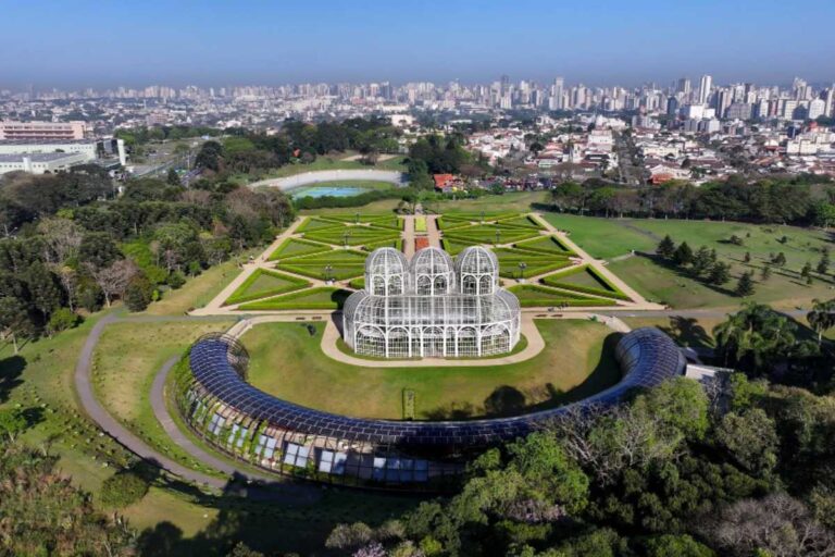 Como a Busca Local Influencia Serviços Personalizados em Curitiba